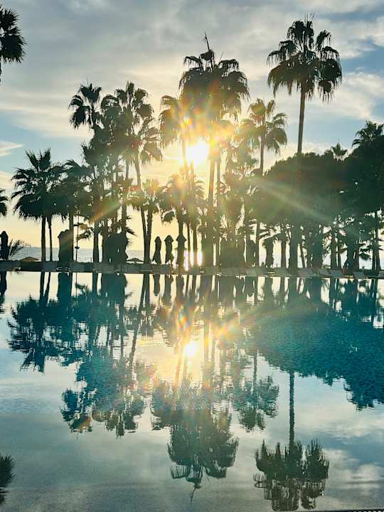 Pool Acanthus Cennet Barut Collection