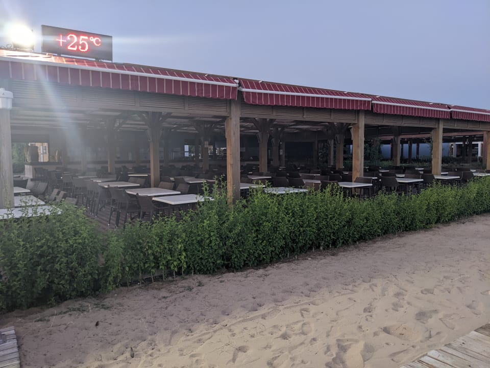 Gastro Sentido Trendy Verbena Beach