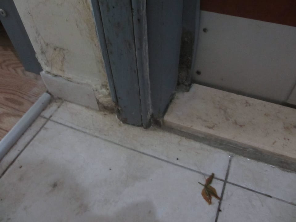 Schimmel Petunya Beach Resort