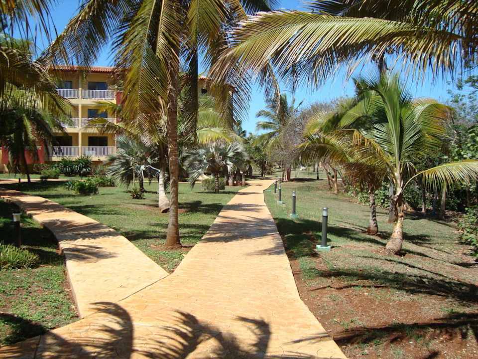 Tropischer Garten Sirenis Tropical Varadero