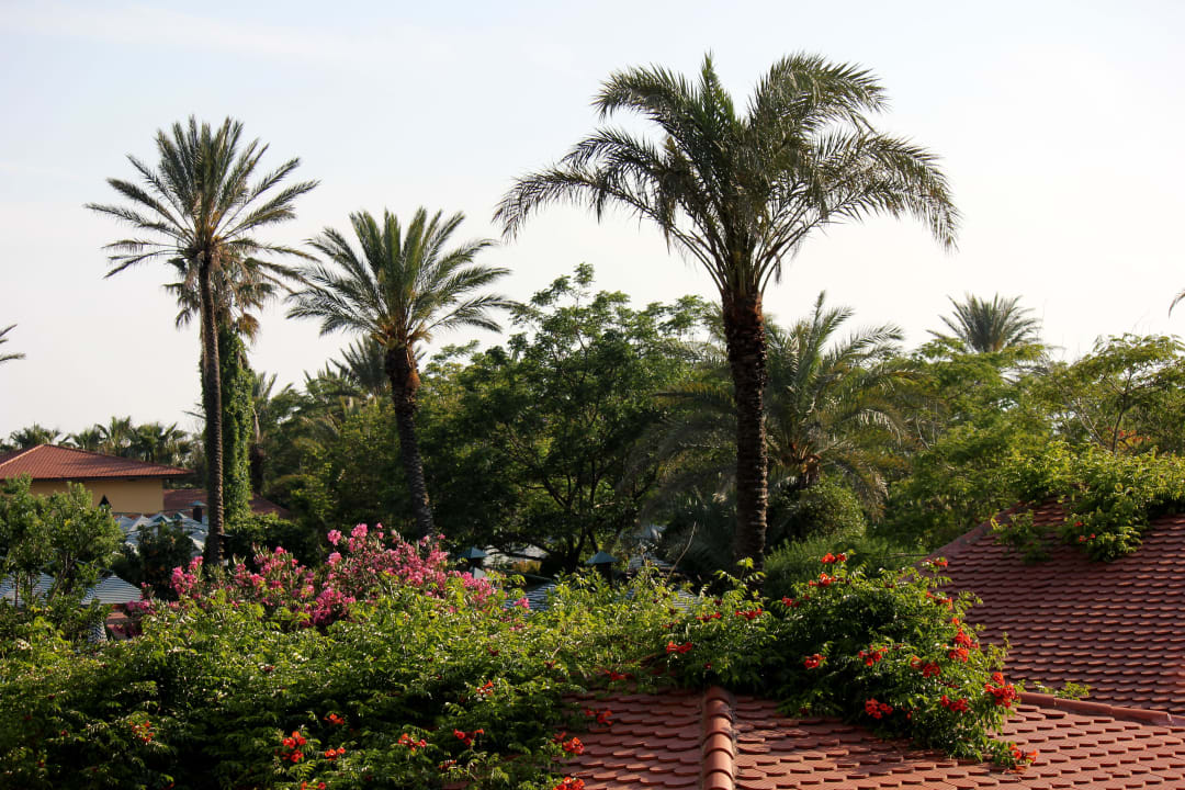 Вид из номера Belconti Resort Hotel