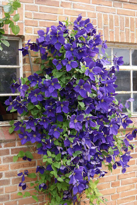 Sonstiges Apartment Hockmannshof