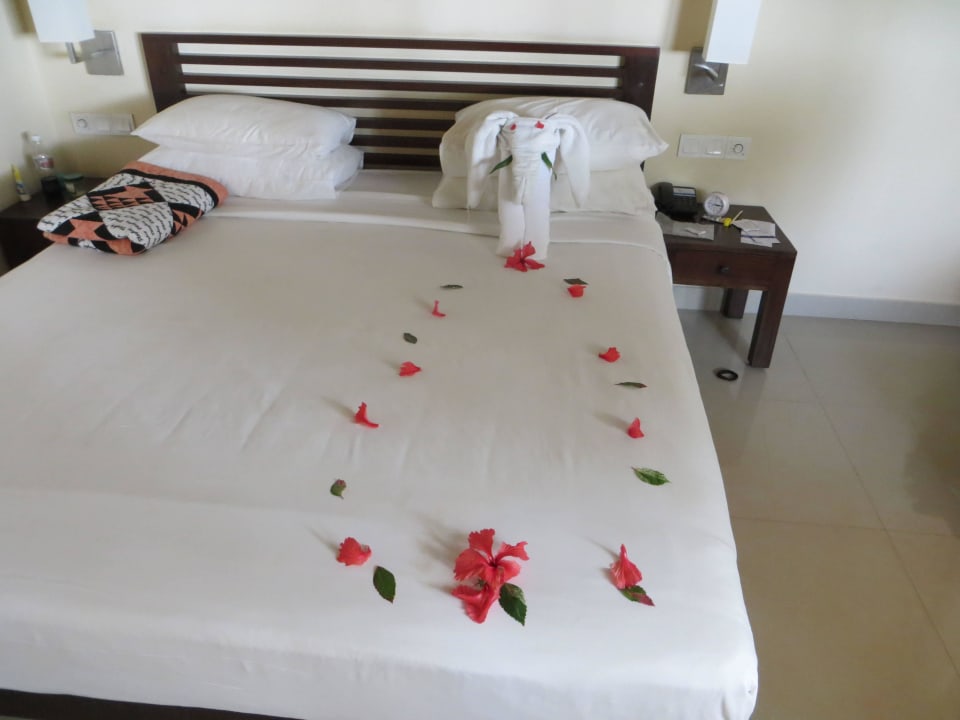 Wir hatten sogar Elefanten im Bett Club Hotel Dolphin