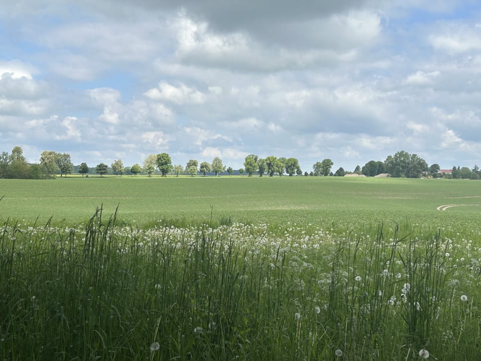 Außenansicht Hotel Fleesensee Resort & Spa