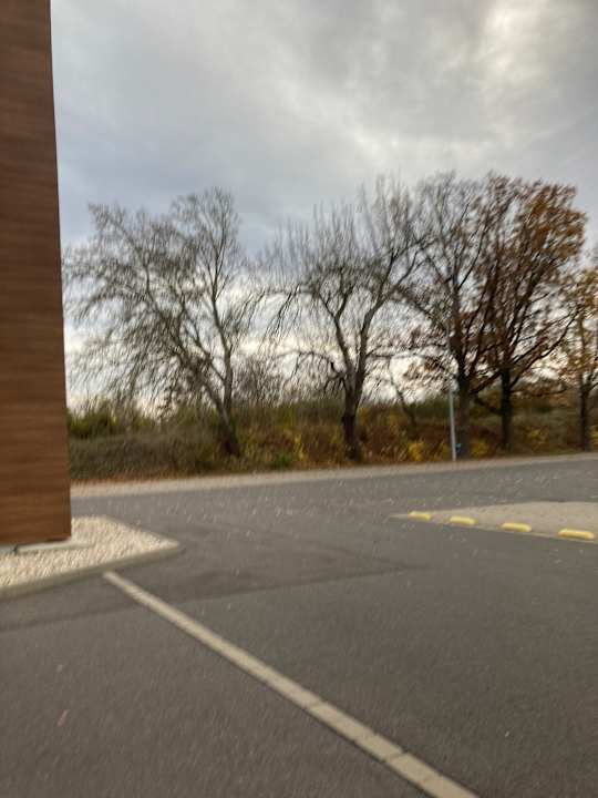 Ausblick Best Western Parkhotel Brehna - Halle