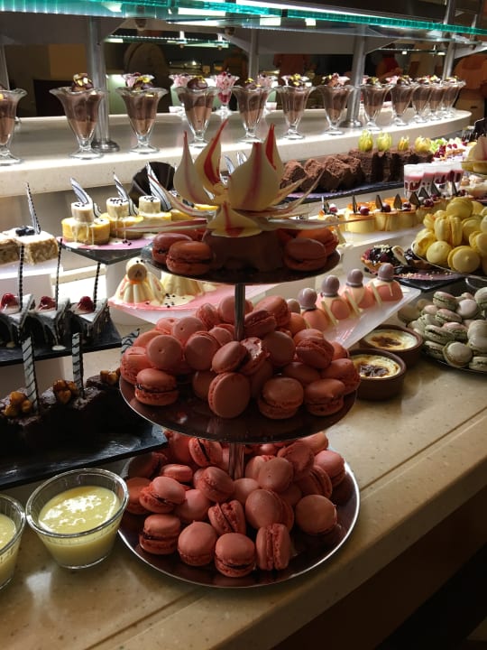 Gastro Arum Barut Collection