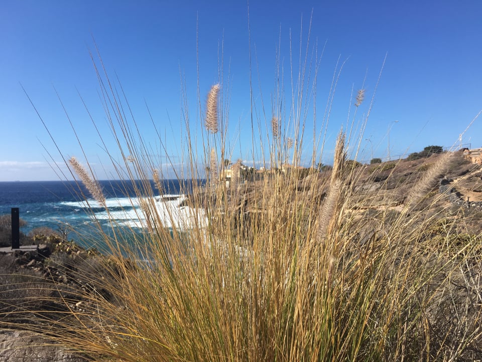 Ausblick Bahia Principe Sunlight Costa Adeje