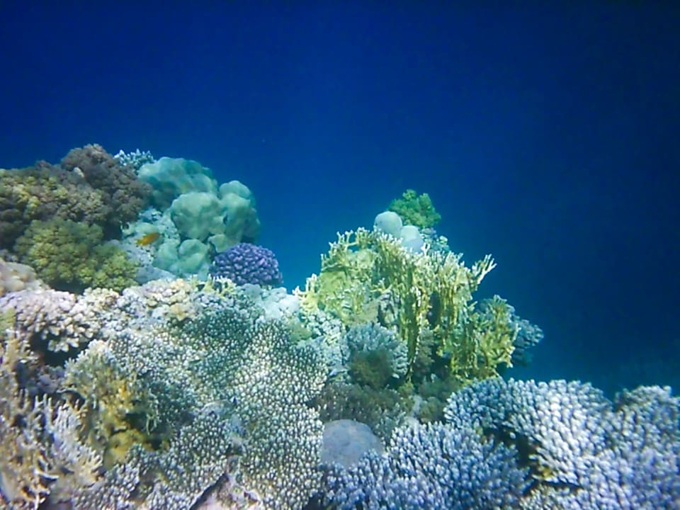 Sport & Freizeit Three Corners Equinox Beach Resort