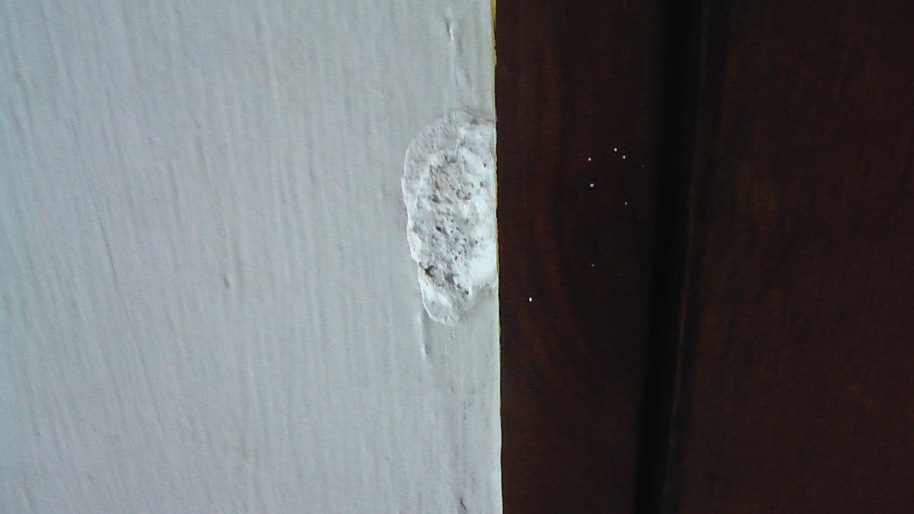 Feuchtigkeit im Mauerwerk  Water Lily