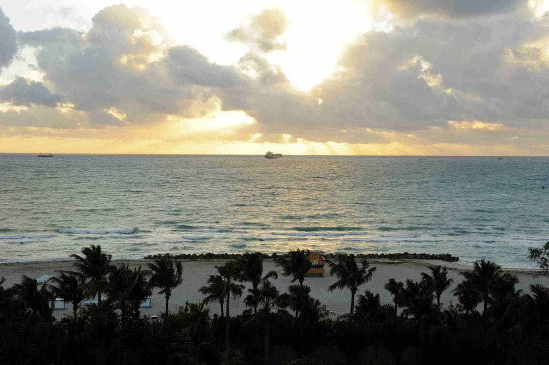 Blick auf das Meer am Morgen The Palms Hotel & Spa