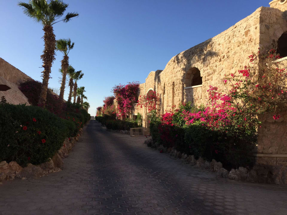 In der Anlage Pickalbatros Citadel Resort