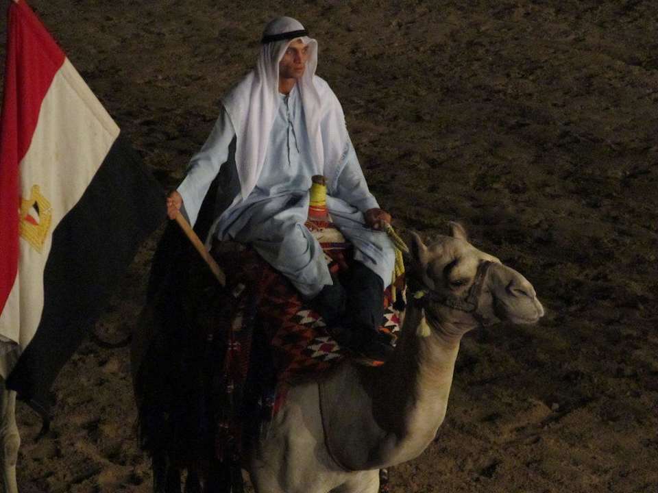 Верблюд Pickalbatros Alf Leila Wa Leila Resort - Neverland Hurghada