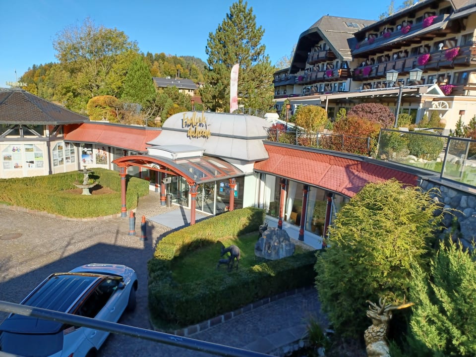 Ausblick Waldhof Fuschlsee Resort