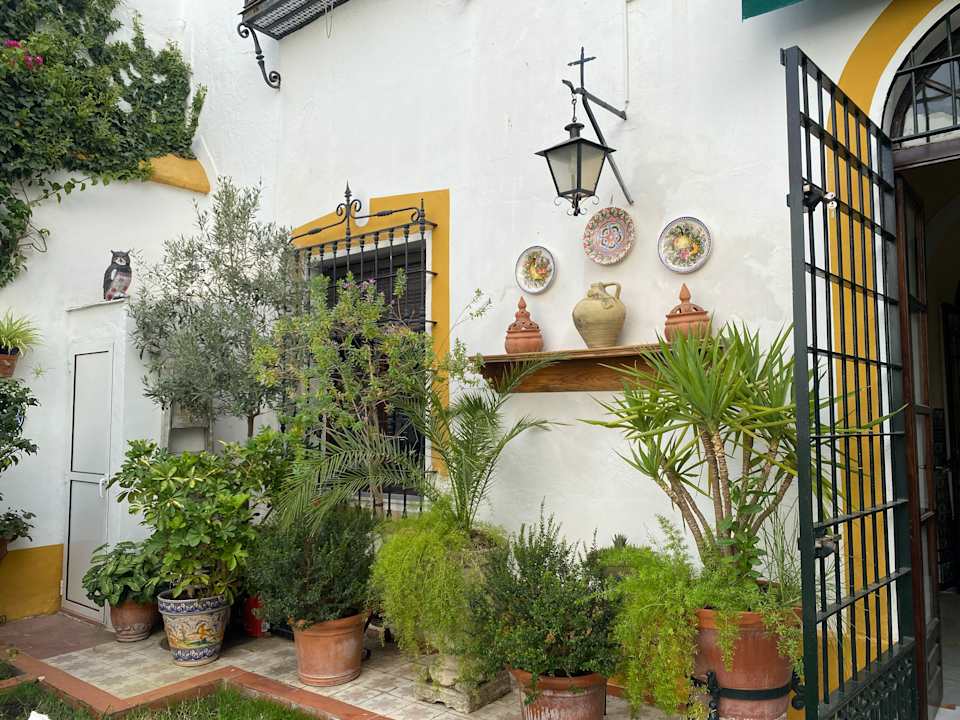 Gartenanlage Hotel Casa San Jose