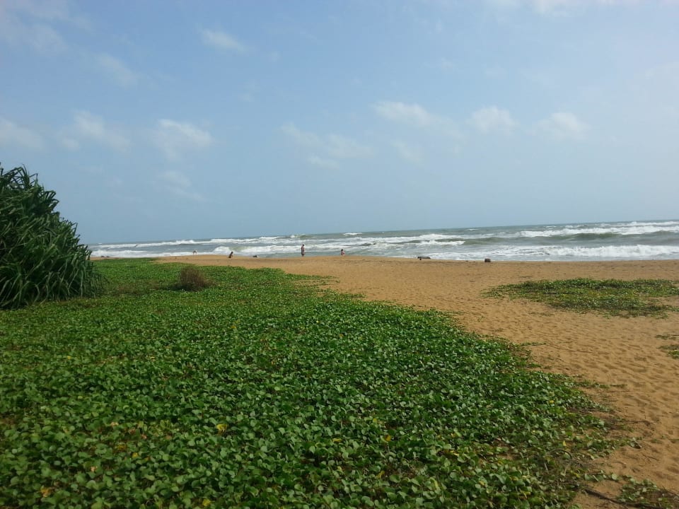 Naturbelassener Strand Tangerine Beach Hotel