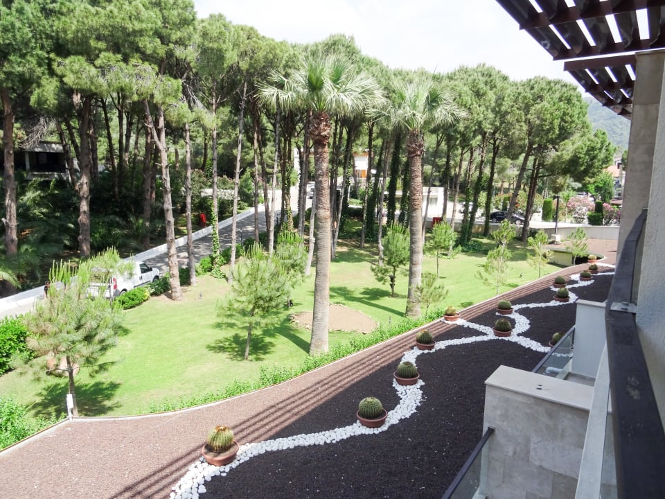 Ausblick von unserem Zimmer  Paloma Pasha