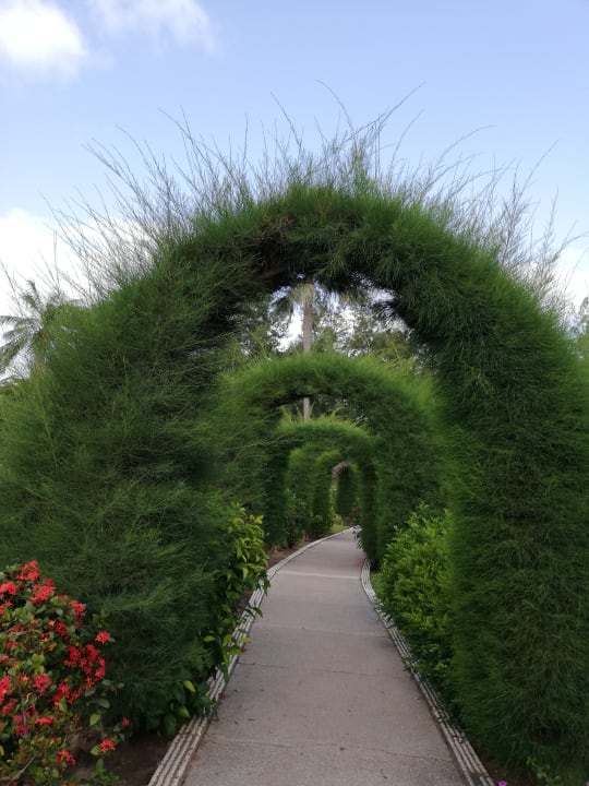 Gartenanlage The Kairaba Beach Hotel