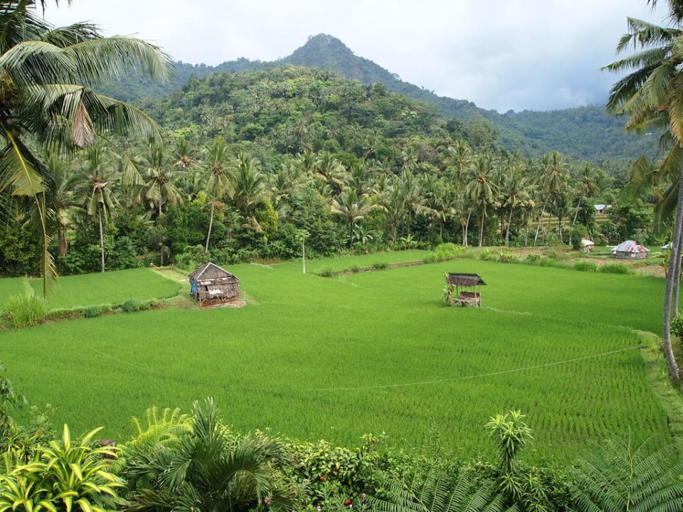 Reisfeldblick Villa Manuk