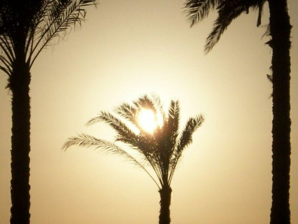 Sonnenuntergang Three Corners Sea Beach Resort