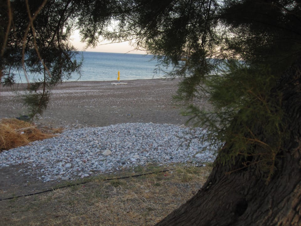Strand Ekaterini Hotel