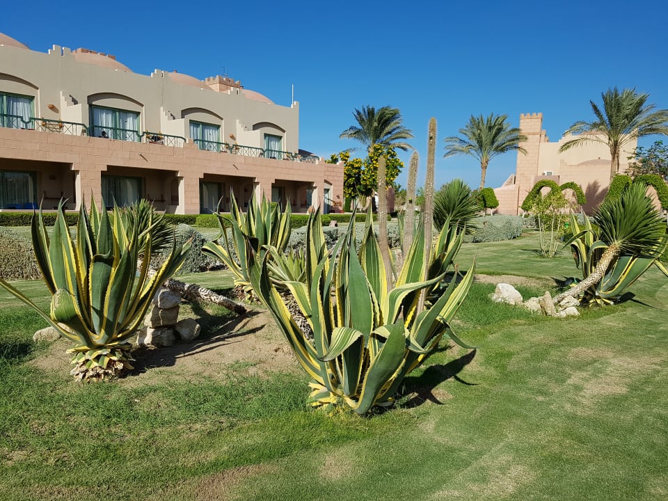 Gartenanlage Sentido Akassia Beach