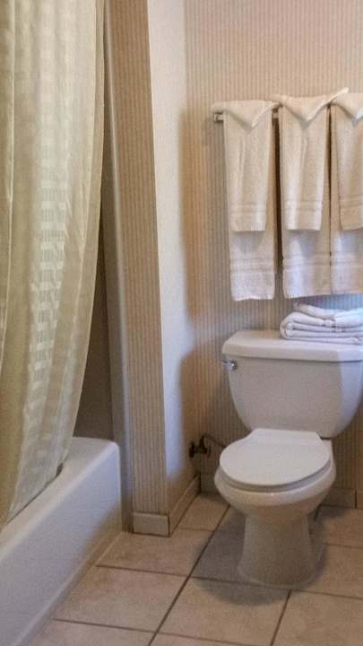 Bad Hotel Yosemite View Lodge