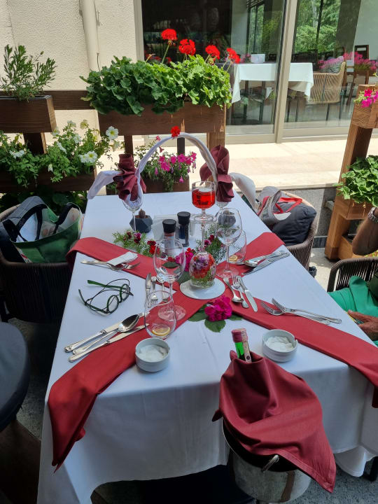 Gastro Arum Barut Collection