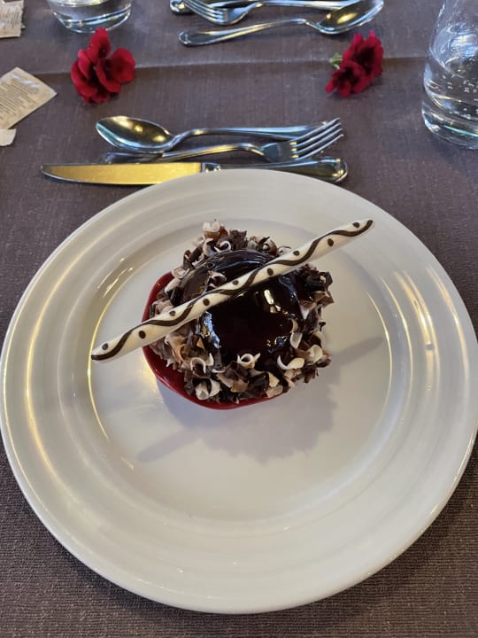 Gastro Arum Barut Collection