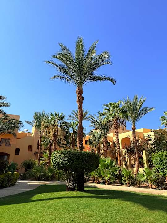 Gartenanlage Steigenberger Coraya Beach - Adults only