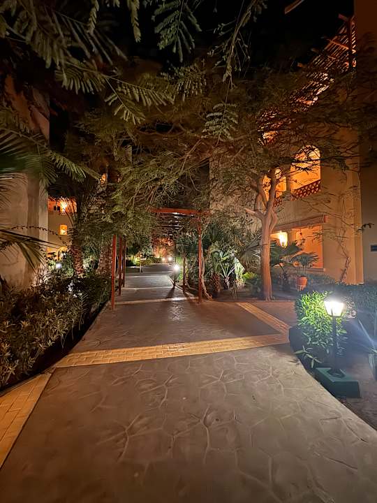 Gartenanlage Steigenberger Coraya Beach - Adults only