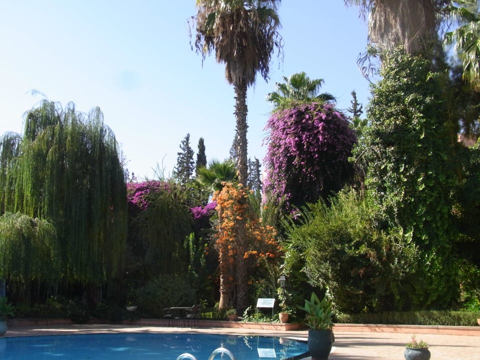 Umgeben von einem schönen Garten Hotel Le Tazarkount