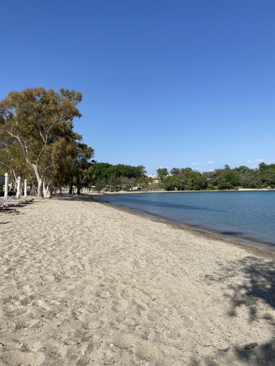 Strand Elea Beach Hotel