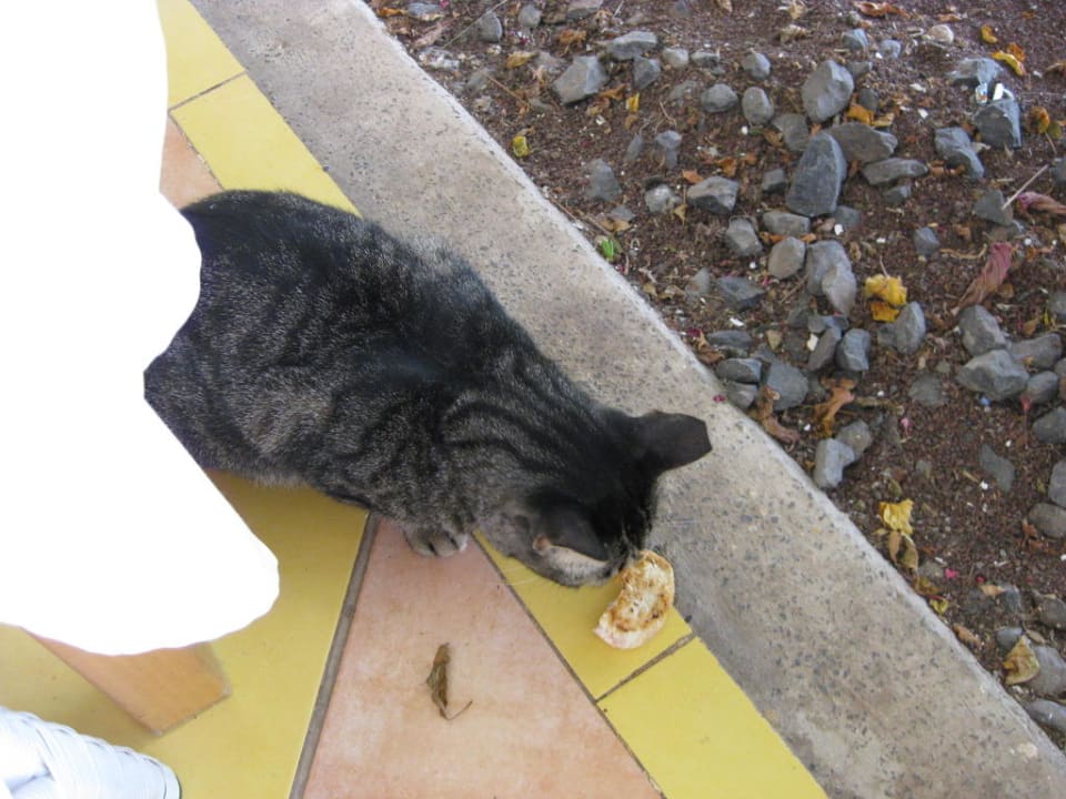 Phillipo Club Hotel Drago Park