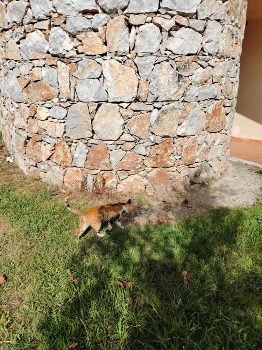 Gartenanlage Olympian Bay Grand Resort