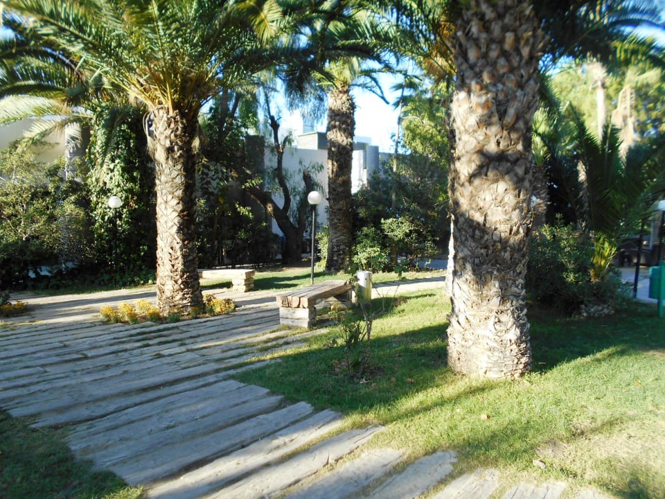 Gartenanlage Hotel Pine Bay Holiday Resort