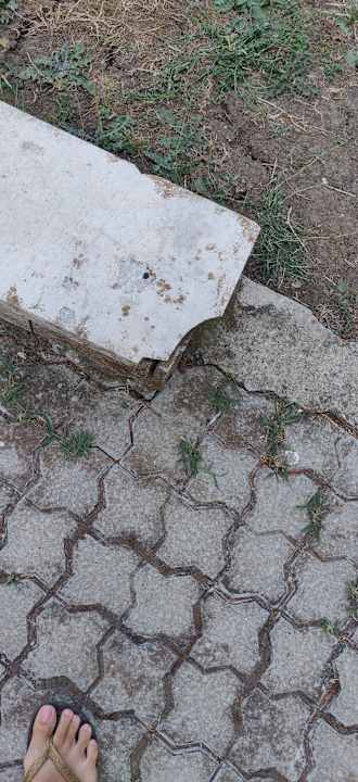 Gartenanlage Hotel Laguna Garden