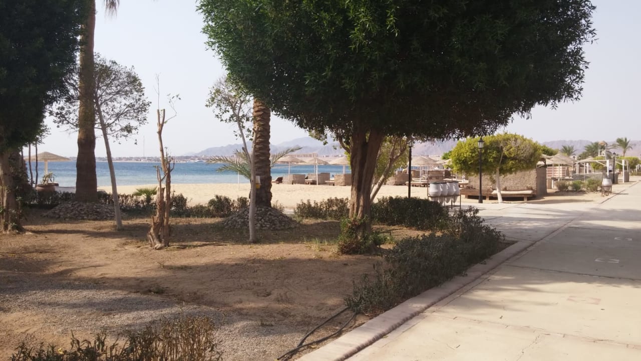 Ausblick Eagles Paradise Abu Soma