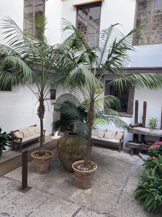 Lobby Hotel Es Port