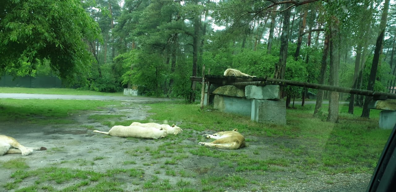 Außenansicht Safariland Stukenbrock Erlebnisresort