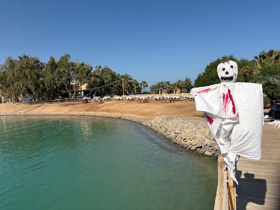 Gastro Sheraton Miramar Resort El Gouna