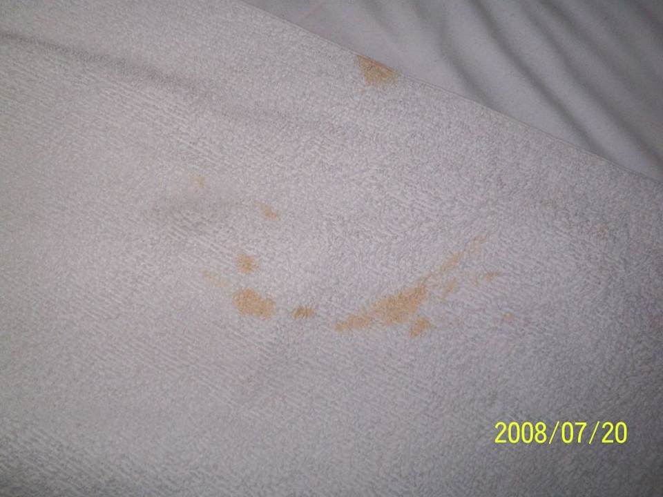 Swiezo przyniesione reczniki Hotel Pascoli