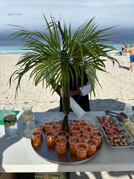 Strand Melia Las Antillas - Adults only