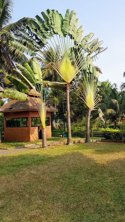 Gartenanlage Hotel Lakesong Resort