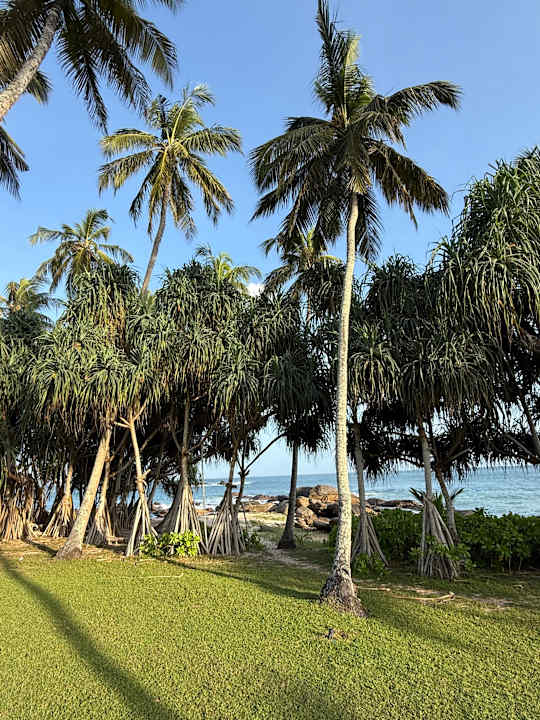 Gartenanlage Anantara Peace Haven Tangalle Resort