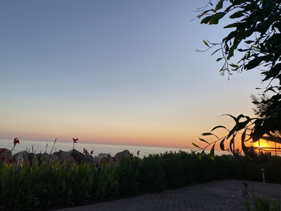 Ausblick Gold Island Selected