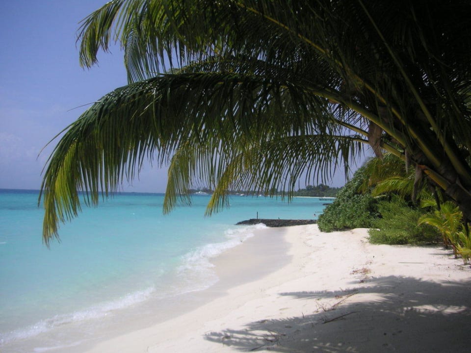 Einfach traumhaft Kuramathi Maldives
