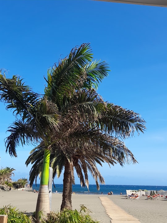 Strand Corallium Beach by Lopesan Hotels - Adults only