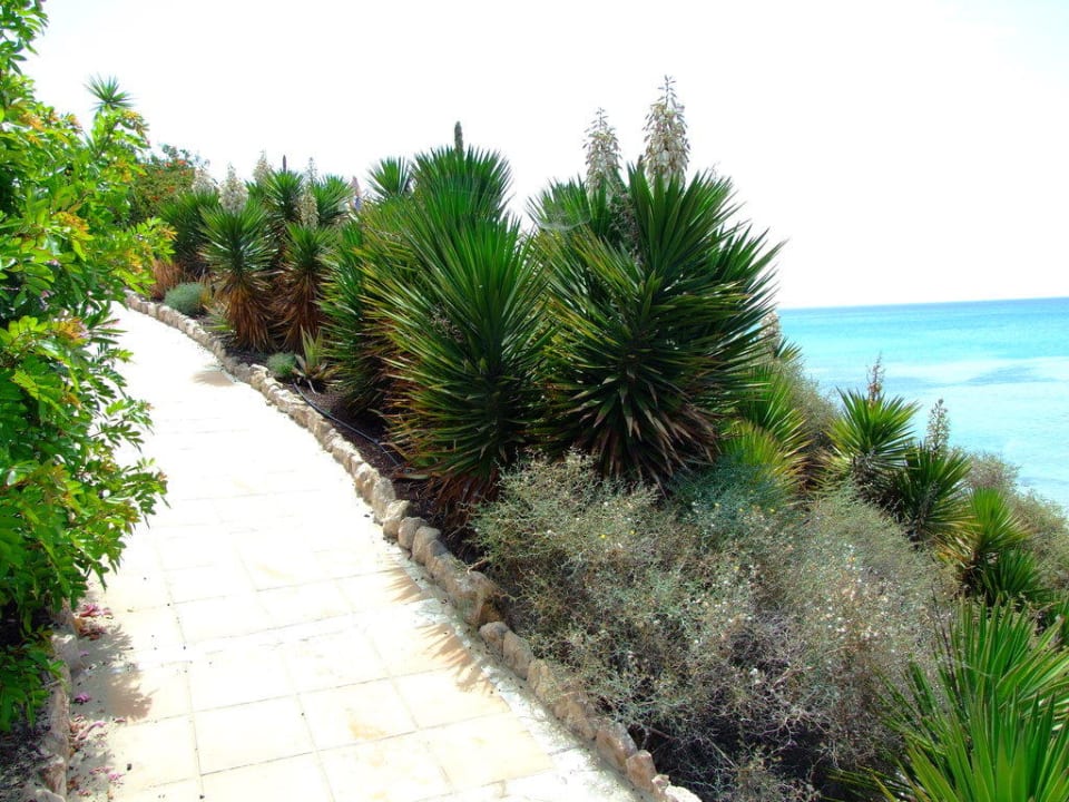 Weg zum Hotel allsun App.-Hotel Barlovento