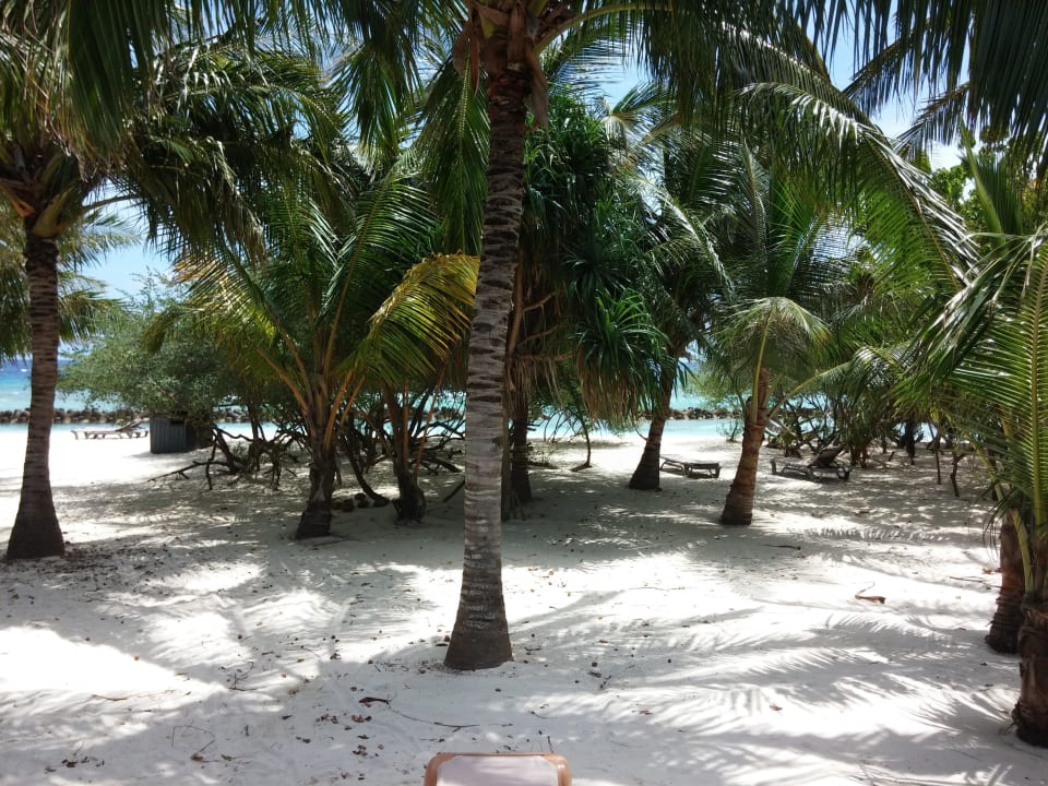 O Beach Villa Ausblick Kuredu Island Resort & Spa