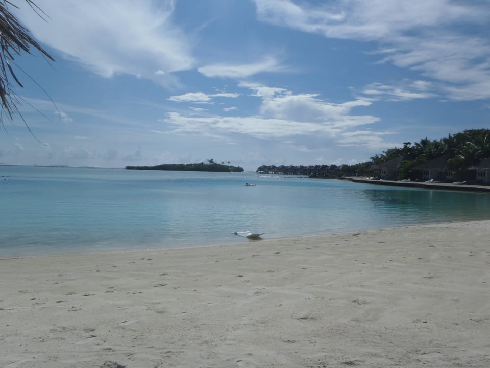 Blick auf Lagune & Overwaterbungalows Cinnamon Dhonveli Maldives